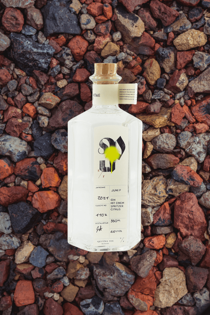 Spiritus Rex Juni P: Gin unfiltriert