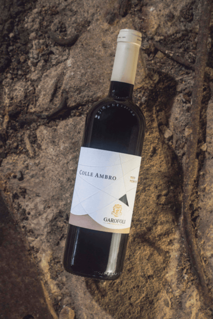 Garofoli Colle Ambro 2019 rode wijn vin rouge