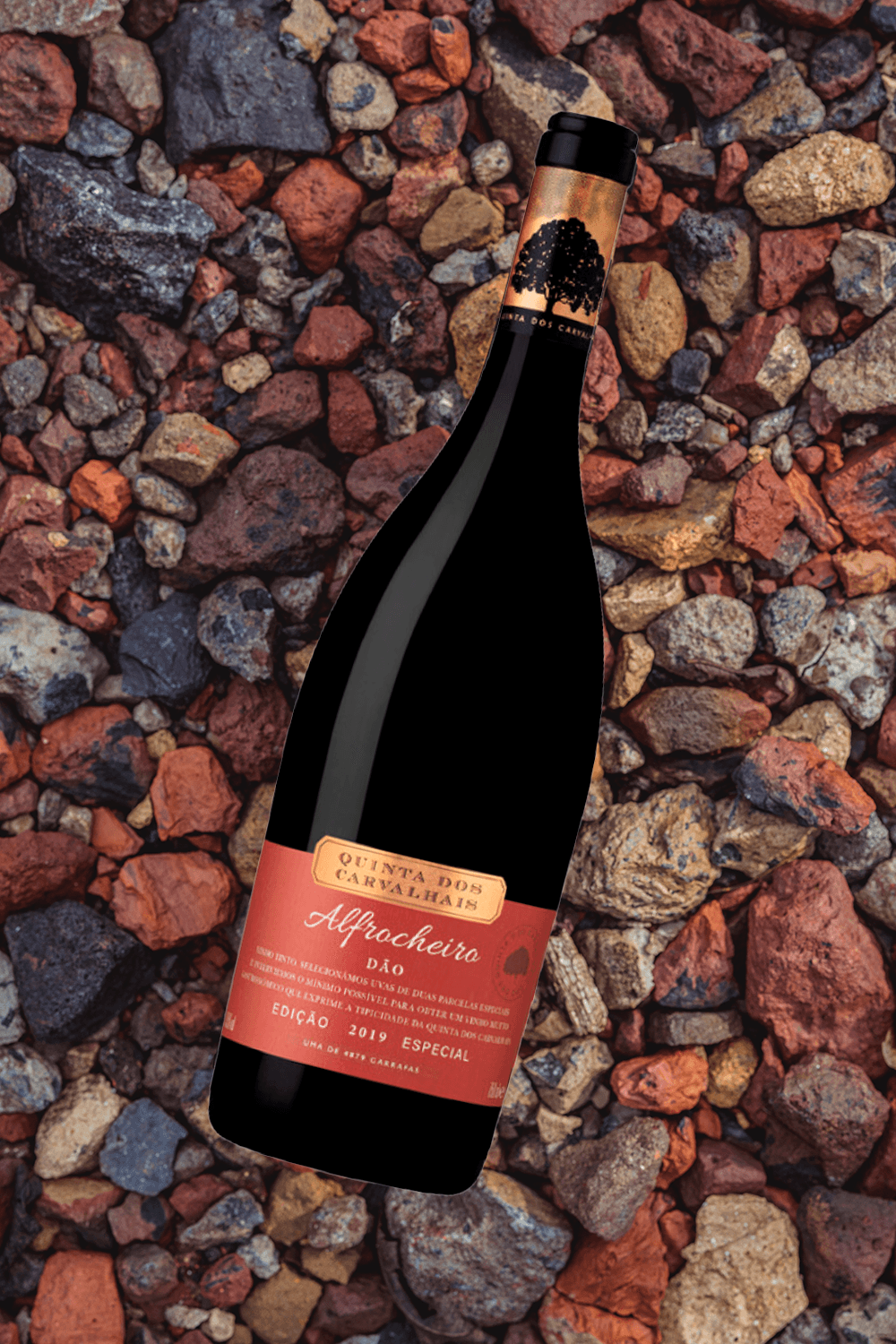 Quinta dos Carvalhais Alfrocheiro 2019